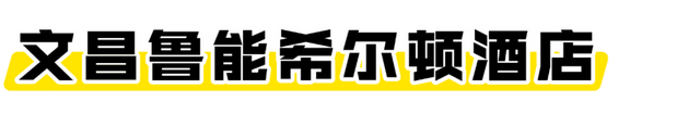 海口经济圈 | 文昌宠粉福利来袭→