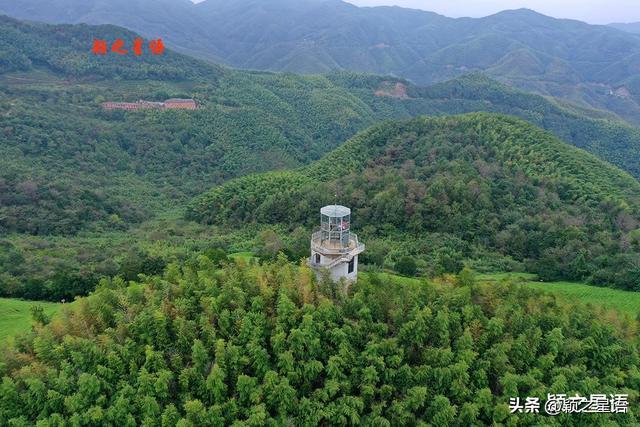 南山观景台，藏于深闺人未知，登高揽胜快意之事