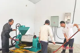 武山县杨河镇：小油坊“榨”出大“钱”景图片