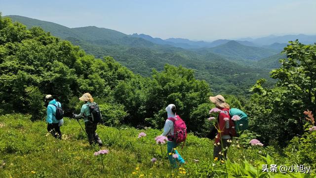 两次本溪南岭徒步记｜高山草甸，湖池松林，我被南岭种草