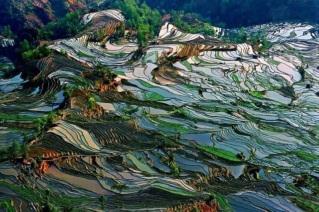 探秘“三遗产” | 人与自然长期互动的完美产物