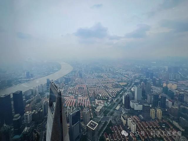 菜胆 花胶 2026年花胶炖菜胆