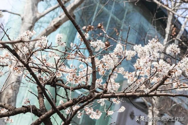南京的这些瞬间，藏着让人舍不得离开的理由