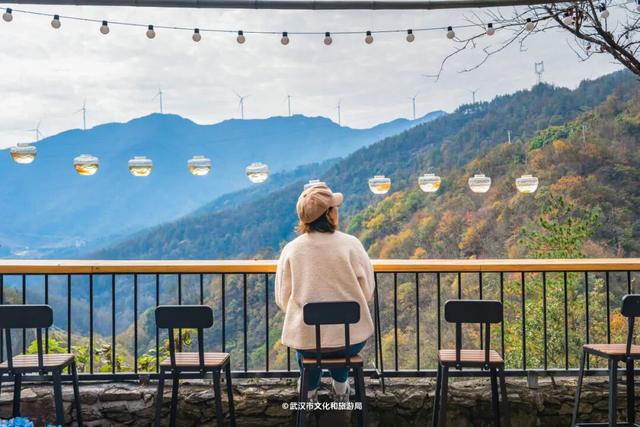 红了！武汉5000余亩红叶树，集体变色