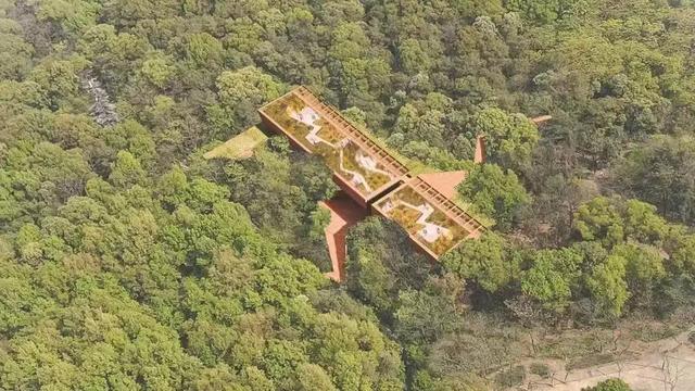 斥资3.3亿上演变形计,成都植物园与西双版纳植物园竞技国家级