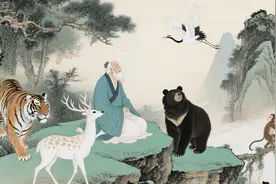 华佗五禽戏真人跟练：一个动作，打通全身气血。图片