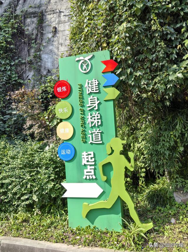 户外徒步之挑战缙云九峰，从健身梯道到狮子峰，走了四小时