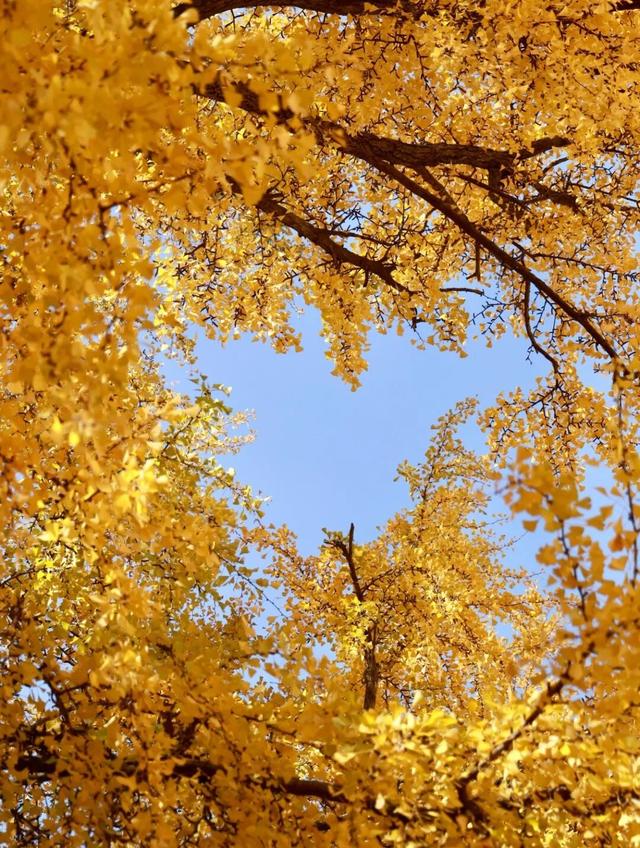 江阴版“西红柿炒蛋”，上线了！