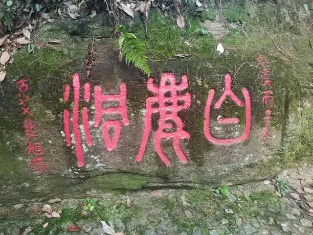 散文 | 李 舫：庐山笔记