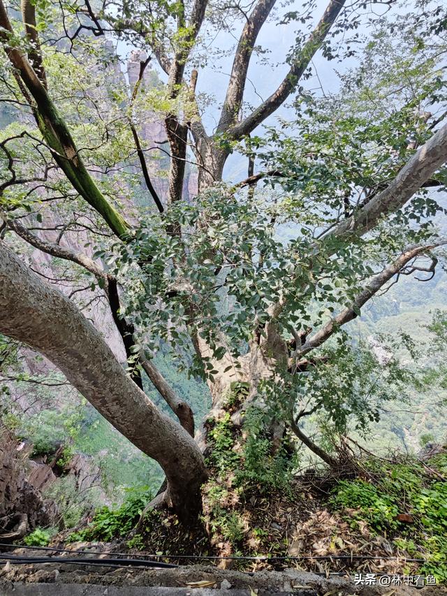 天界山，南太行5A级八里沟景区内最值得游玩的景点，想去的看过来