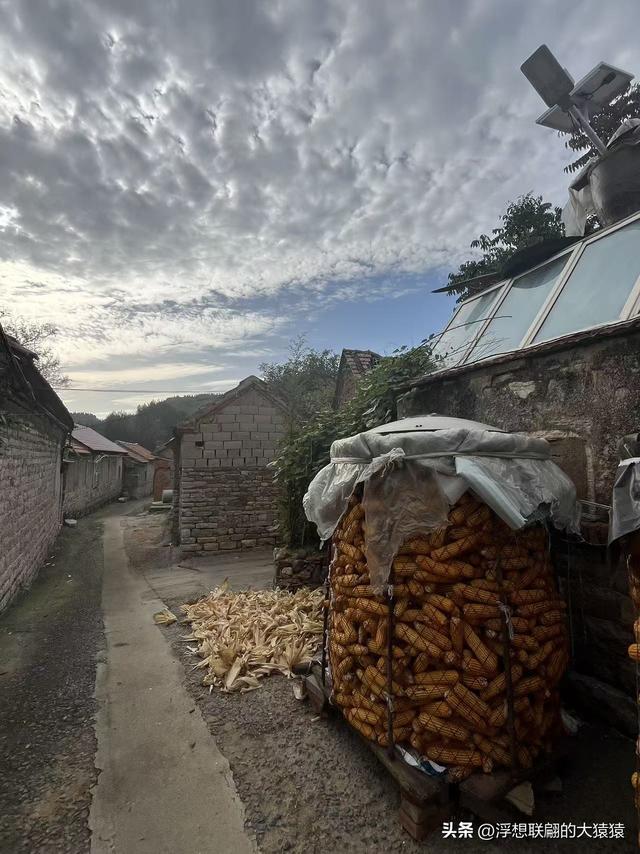 莱芜苗庄有一座隐在山坳里的古村：陡峪