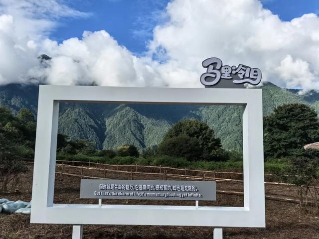 马里冷旧惊现萌宠？黑竹沟彝人牧场小憩营地+驼语小筑+鹿町花阶+矮驹巷陌+绵毛小驿…现已开园，门票免费送！