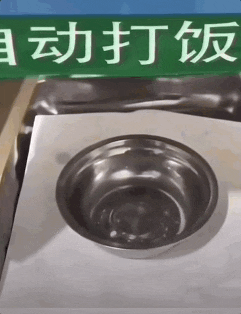 人工智能，已经发展到相当智障的境界了