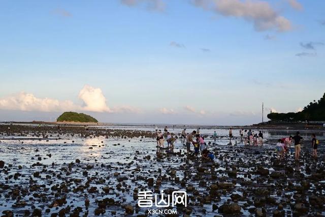 珠海赶海地图出炉！这些宝藏海滩，火爆了！
