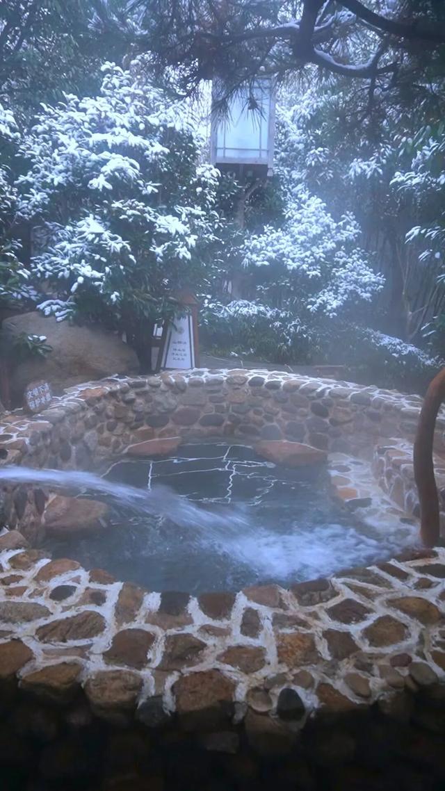 【雪漫汤头 温泉入梦】 汤头温泉旅游度假区“清冷与温润”的冬日美景皆在这里