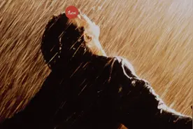 存储涨价，苦日子真的要过去了？图片