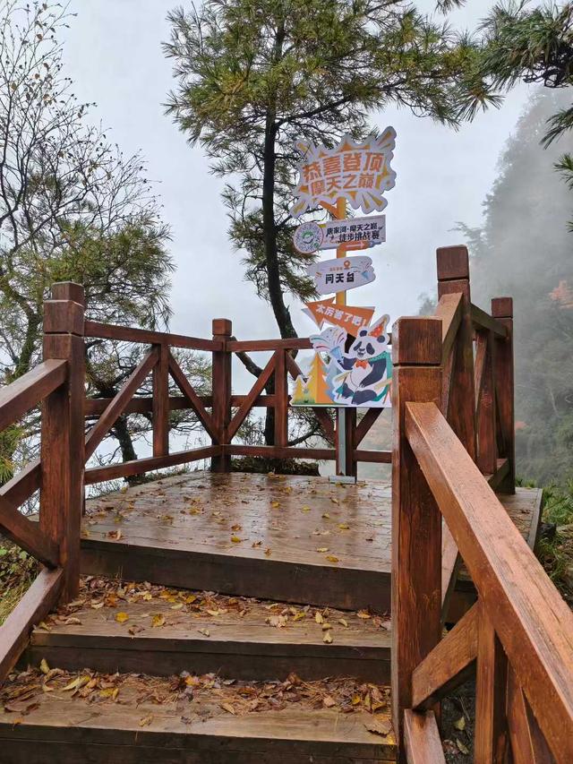 绝美秋天！重阳节广元唐家河红叶美得让人窒息，别错过哦！