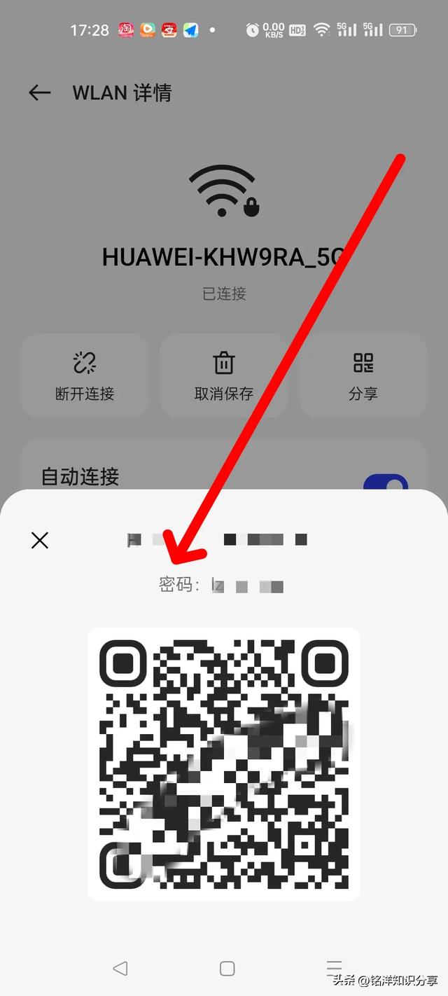 如何查看手机网络（wifi）密码