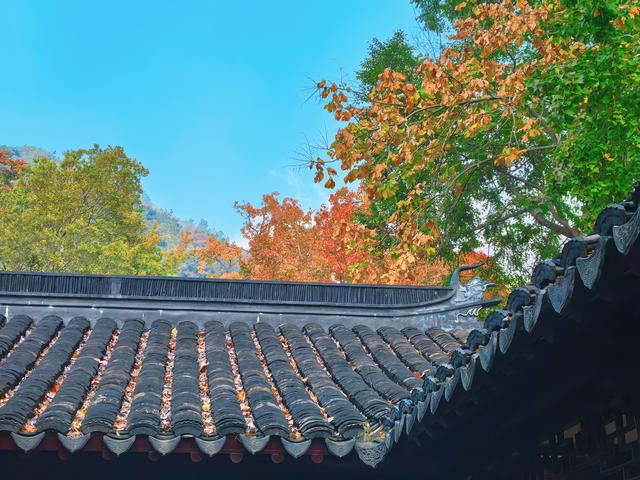 又见天平山：一叶知秋，一枫醉心