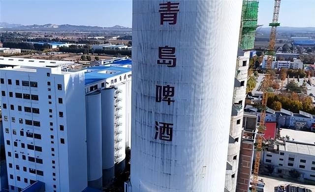 大批德国游客涌入山东，打着旅游的“名义”，大口喝青岛啤酒