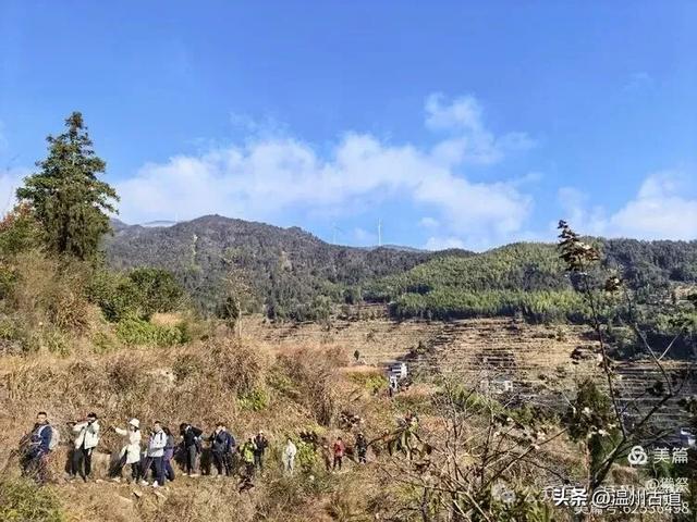 邂逅2026年的第一场醉美雾凇!温州四海山的雾凇美爆了!