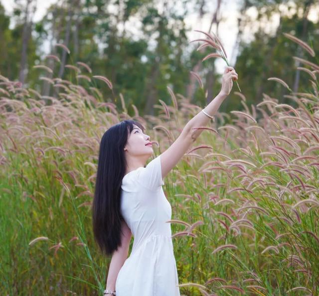 在多彩花海间，邂逅湛江的浪漫初冬！