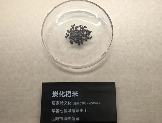 吞长江的胃，装天下的楼，这就是湖南GDP第二把交椅