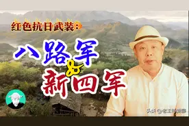 红色抗日武装：八路军与新四军图片