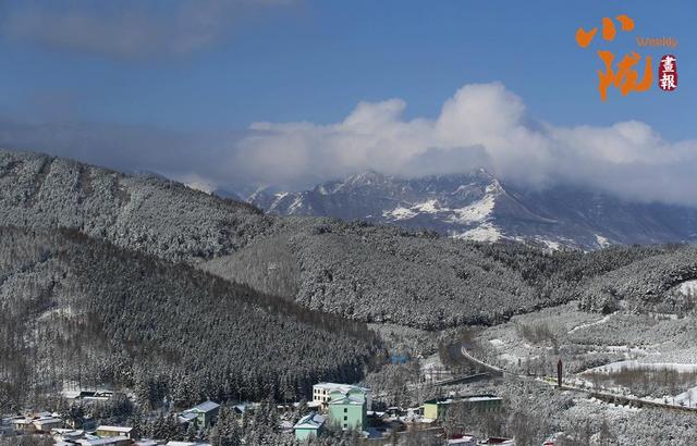 【小陇画报·434期】太子山：深秋画卷与初雪的浪漫邂逅
