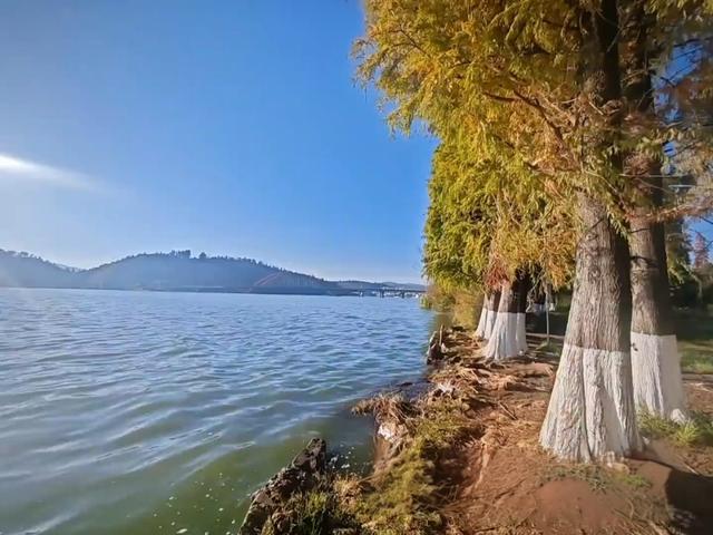 滇池边藏了个“小鼓浪屿”，白房子+彩虹桥+喂海鸥…朋友圈收割机