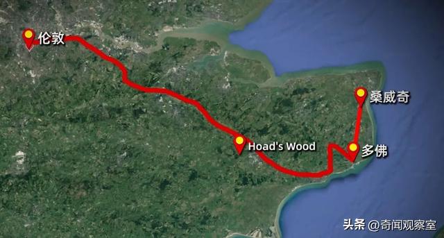 美女高管被害，揭开了整个国家的伤口，震怒英国的案件