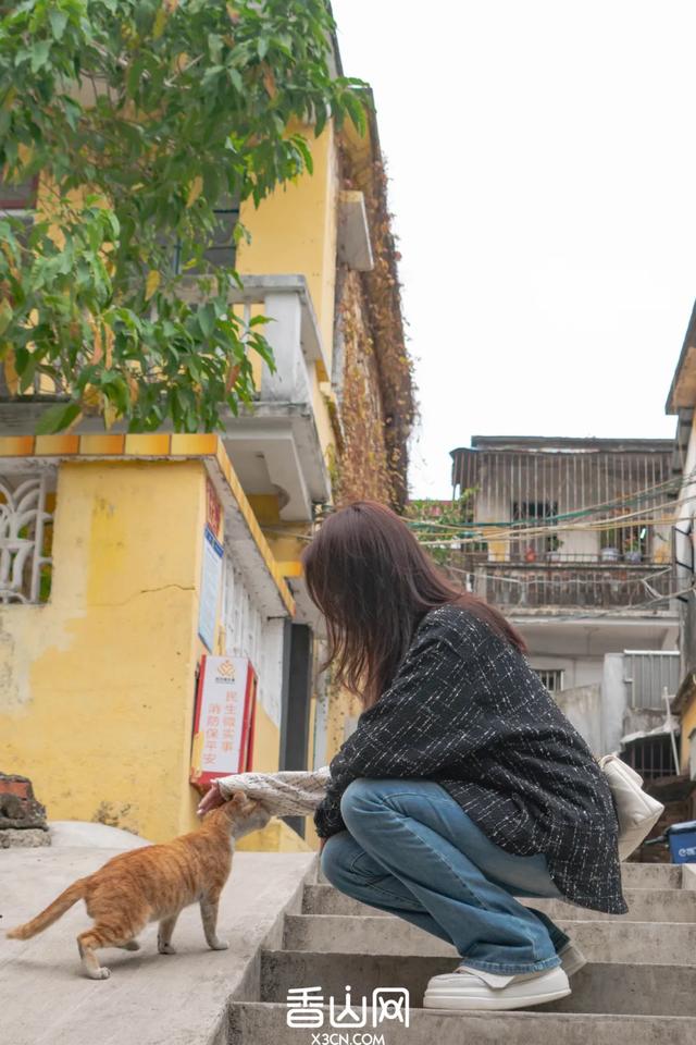 珠海这条“富人”村,神秘又低调