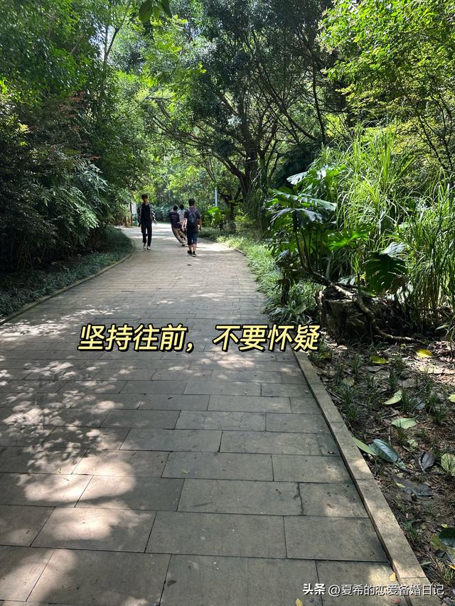 90%的人不知道的黄果树瀑布上帝视角隐藏位置，超详细路线讲解