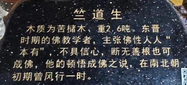 参观根宫佛国博物馆