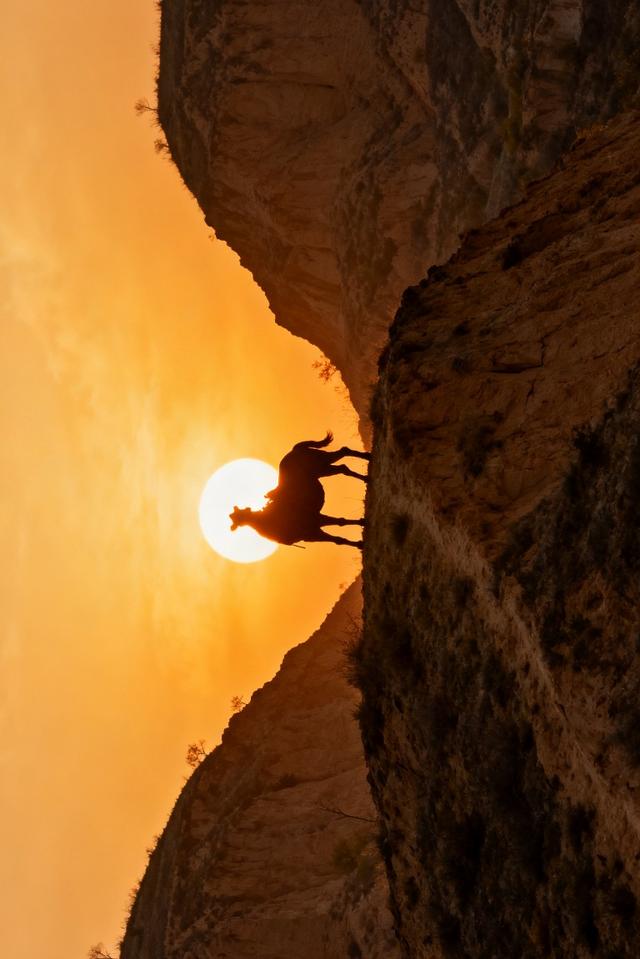 分享图片一日出东方美景，真是太美了！