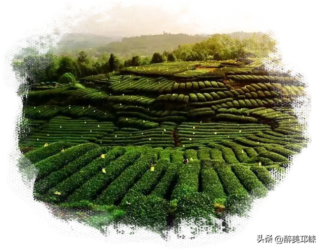 秋崃｜在邛崃，空气里留着千年时光的印记