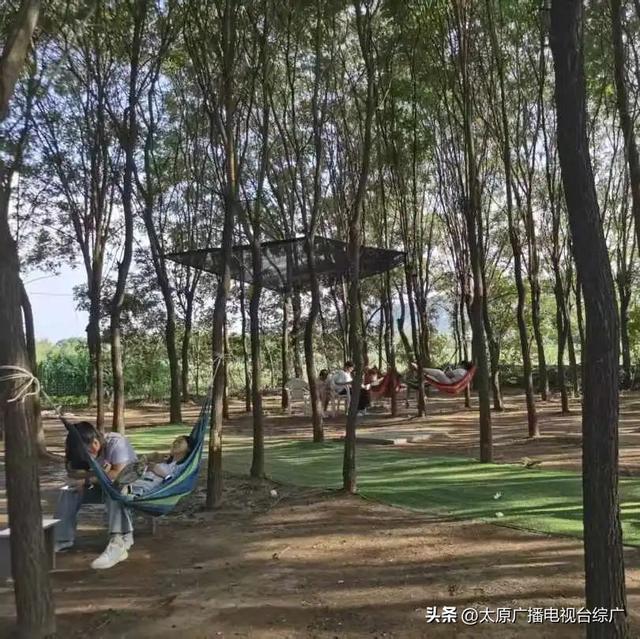 寻迹尖草坪丨6大神仙露营地，你去过几个？