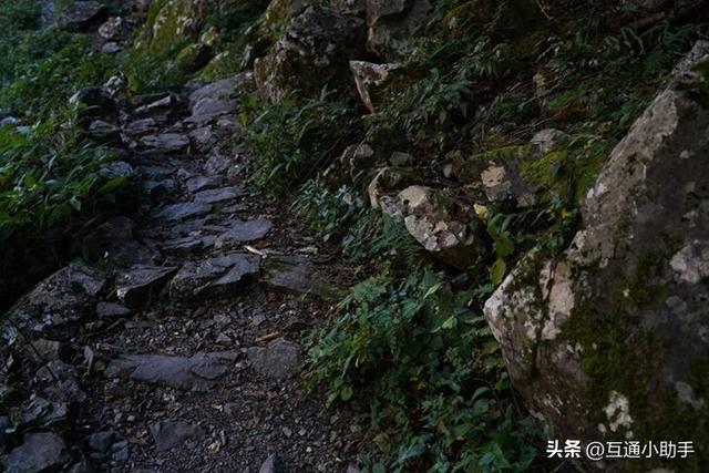 高品质成像：大光圈变焦镜头腾龙 35-150mm F/2-2.8 Di III VXD 评测