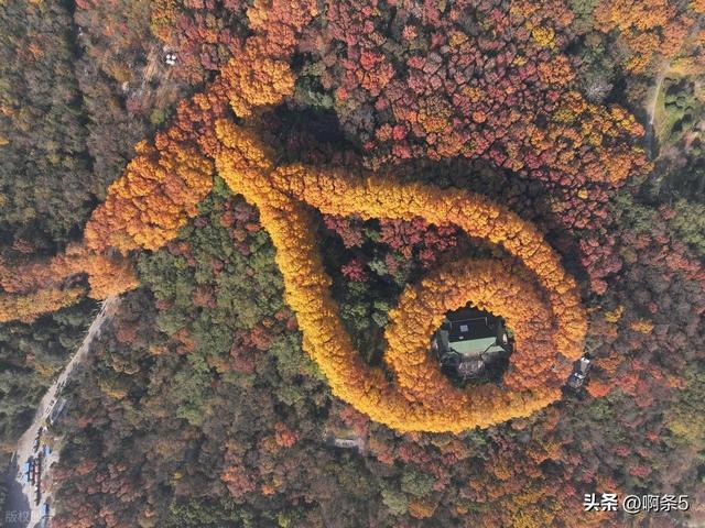 江苏南京，钟山风景区，大家展开想象，这个像什么？