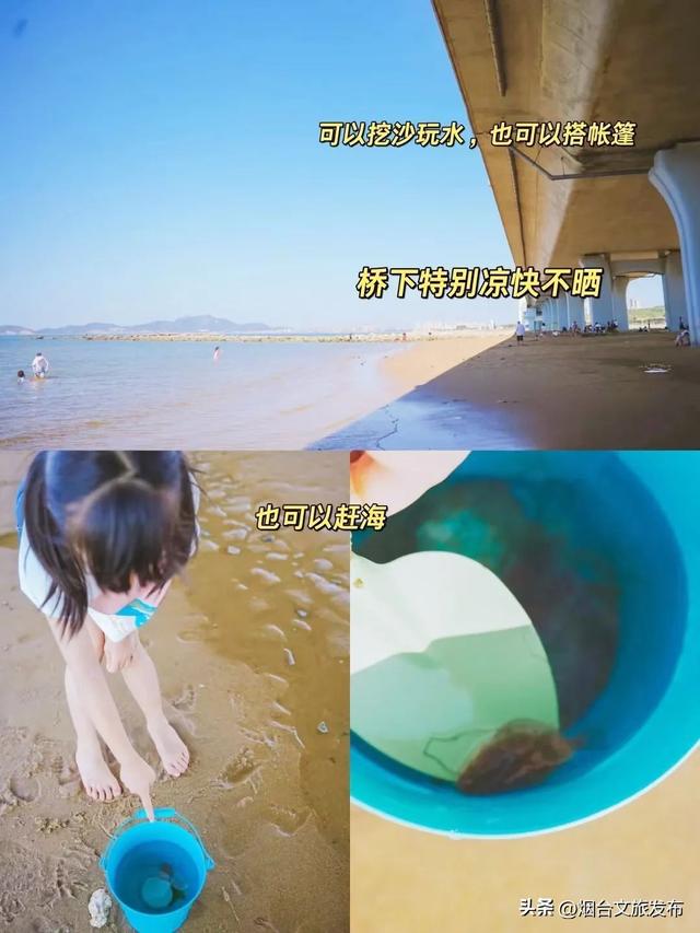 【乐游烟台】爆桶秘籍！烟台赶海zui全攻略速看→