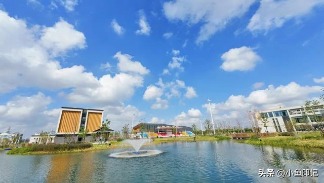 今年招生最干净的211大学，实现学生零调剂，实属罕见！