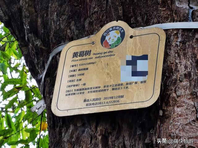 行走自贡：荣县乌老山上的懂政老街