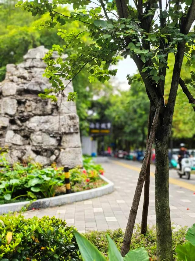 桂林:最是初冬晴午后!