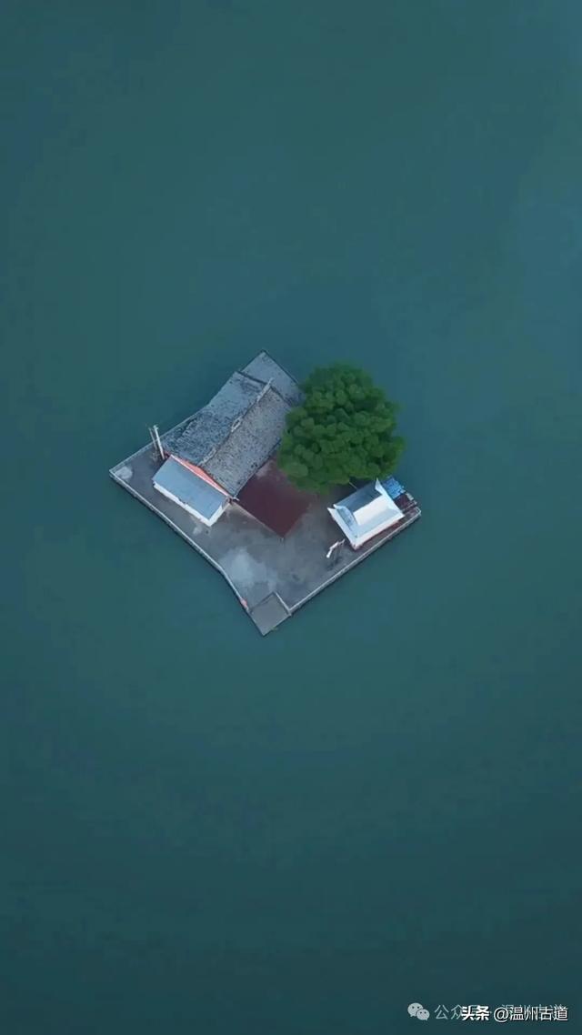 温州最孤独的水中寺庙，一树一庙一孤屿，你可去过?