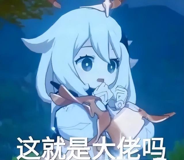 原神最烦人的限制，被它破解了