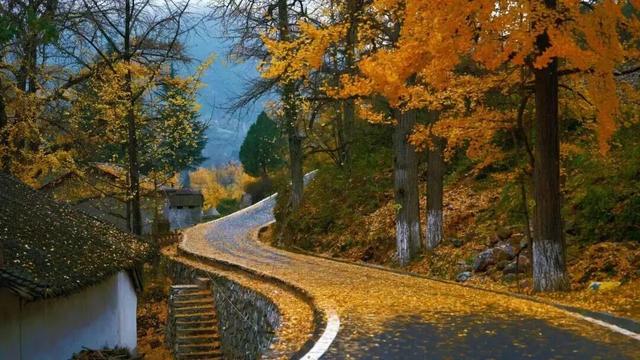 等霜落，看景去——徽县的秋，是首写满美的诗