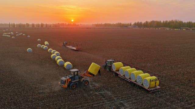 多年来，一批又一批绍兴人前赴后继，走进了这座大漠小城……