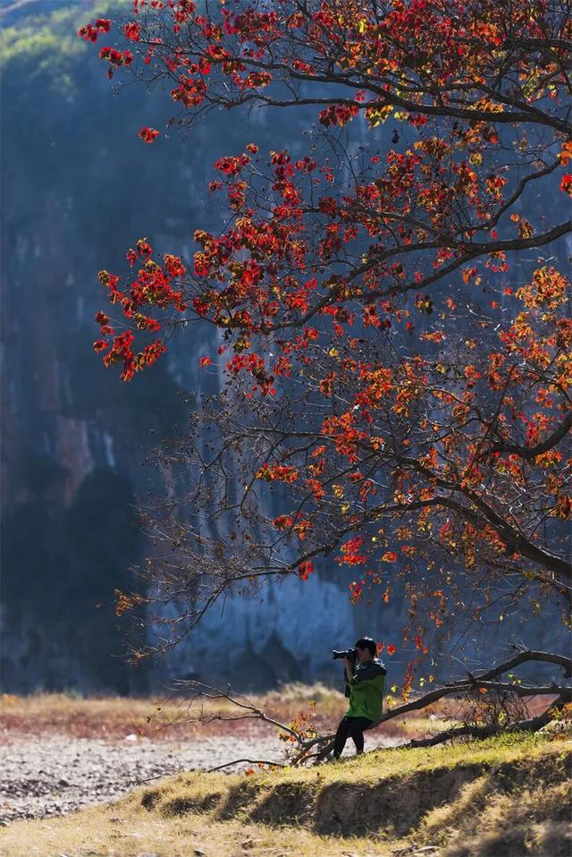 11月旅行地推荐！这13个赏秋地无对手，还藏着国内四大绝美秋色