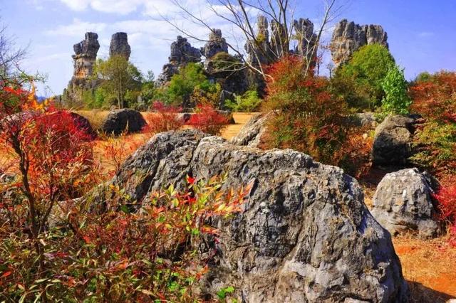 昆明多家知名景区，对他们免门票！