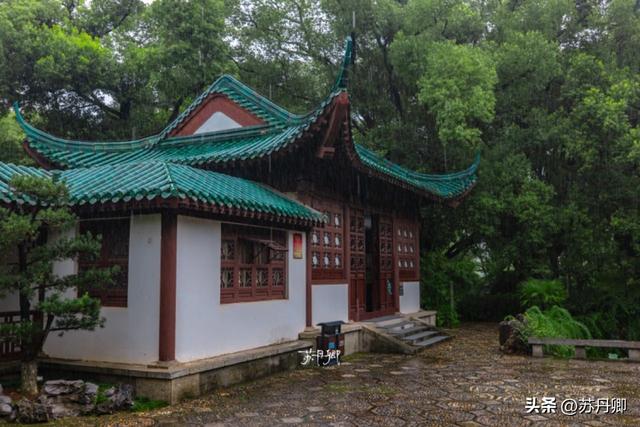 武汉的夏天，有多热就有多美！东湖听雨感受一场“风雅集”